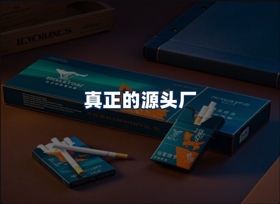 专业团队办公环境